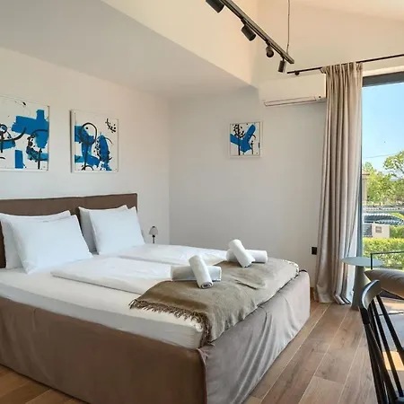 Modern Vallis With Pool And Jacuzzi In فيلة بوريتش